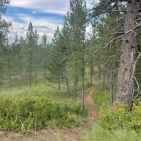 Little Cabin In The Woods. Post Falls Exterior photo