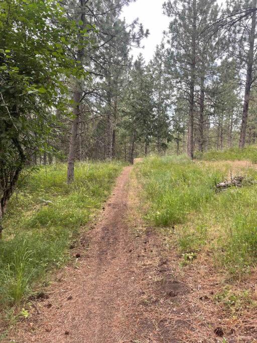Little In The Woods. Post Falls